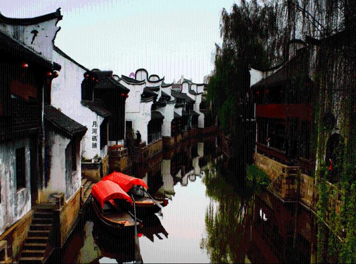 救援小白狼